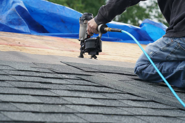 Best Roof Gutter Cleaning  in Coopersville, MI