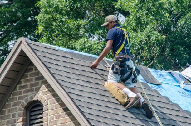 Best Roof Restoration Services  in Coopersville, MI